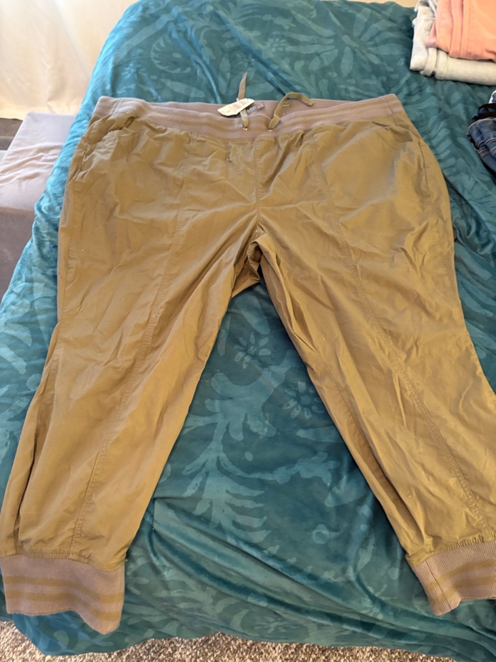 torrid Drawstring Jogger Pants — green